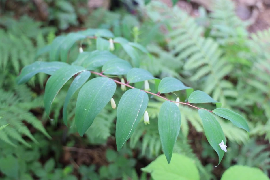 6%EC%9B%9428%EC%9D%BC_(129).JPG?type=w1