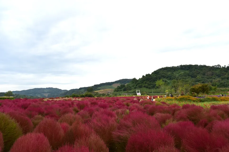 10%EC%9B%9414%EC%9D%BC_(31).JPG?type=w966