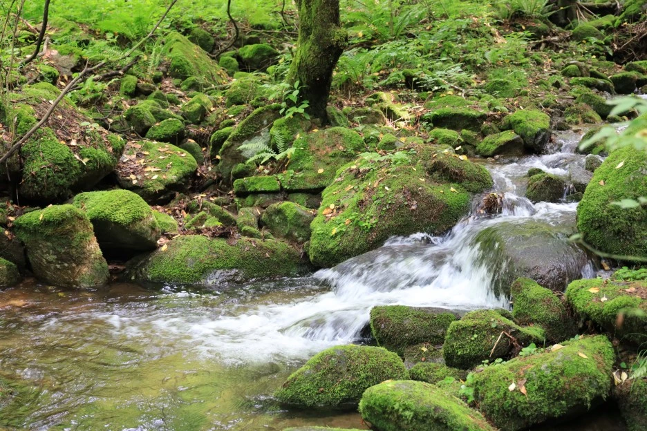 6%EC%9B%9428%EC%9D%BC_(406).JPG?type=w1