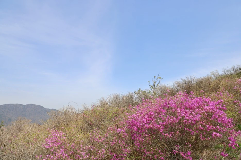 4%EC%9B%9428%EC%9D%BC_(63).JPG?type=w1