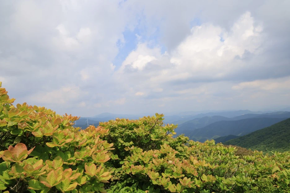 6%EC%9B%9414%EC%9D%BC_(178).JPG?type=w1