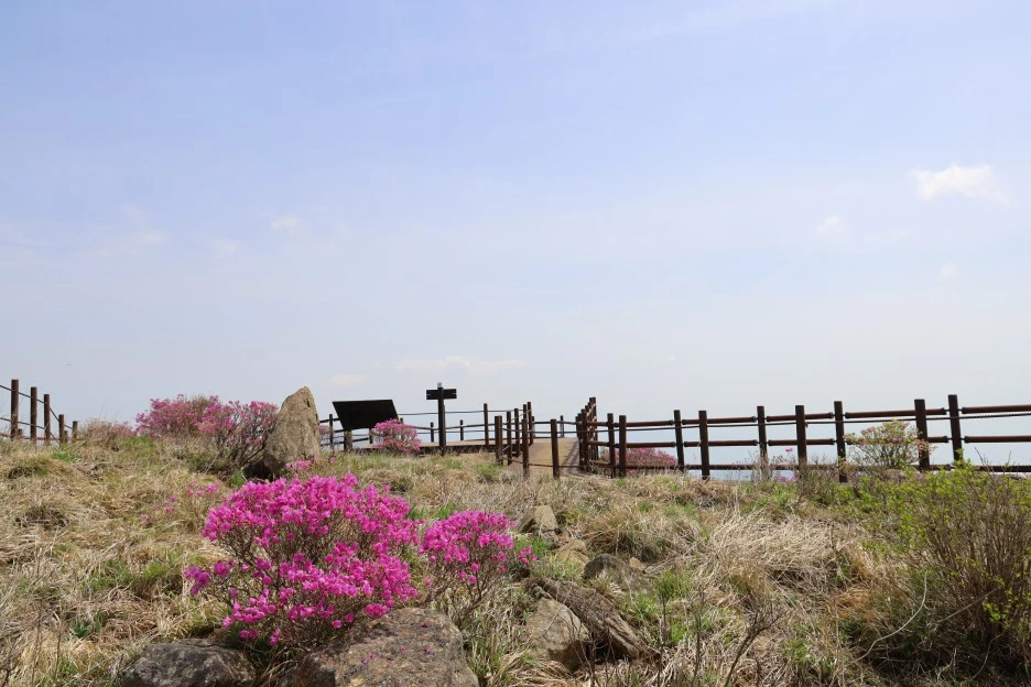 4%EC%9B%9428%EC%9D%BC_(79).JPG?type=w1