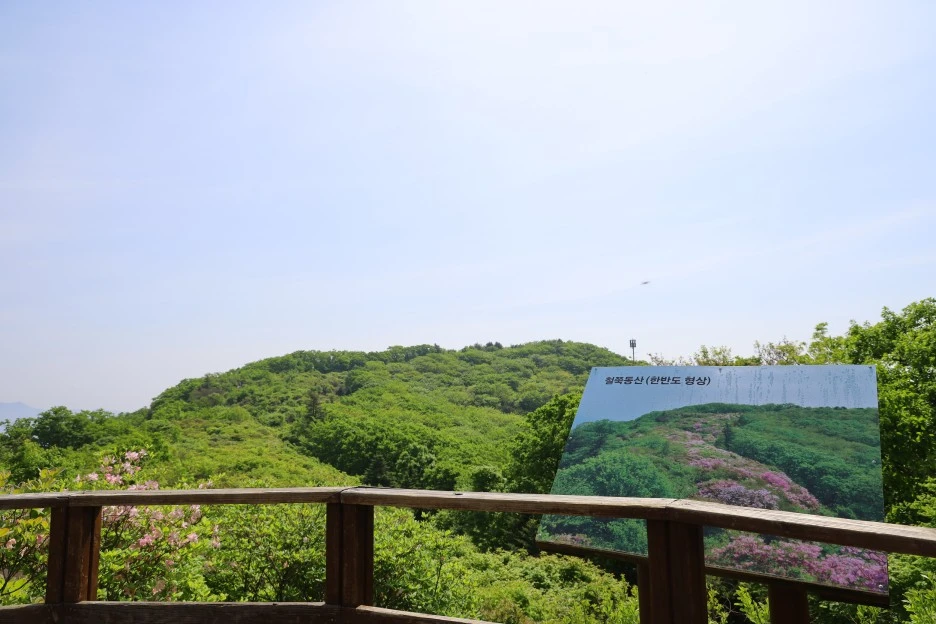 5%EC%9B%9410%EC%9D%BC_(54).JPG?type=w1