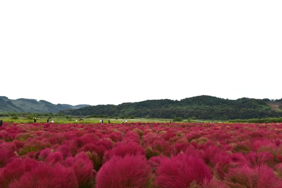 10%EC%9B%9414%EC%9D%BC_(23).JPG?type=w966