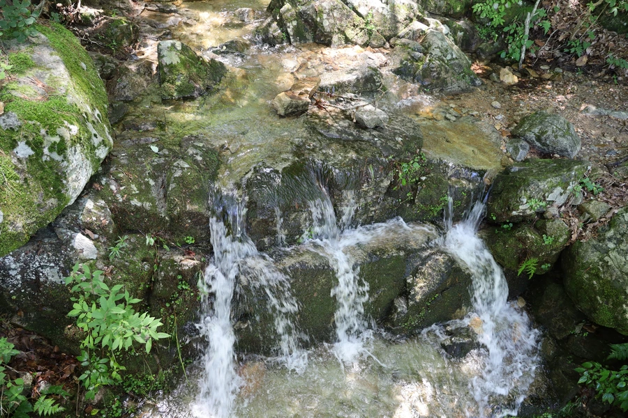 SE-db72a121-968d-4e35-a1f6-d7deb42a1df2.jpg?type=w1