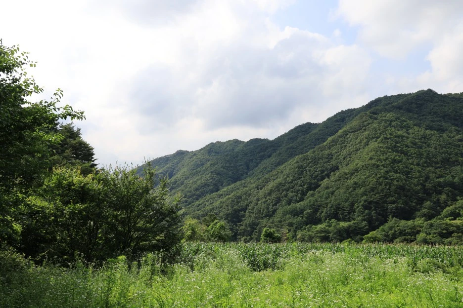 6%EC%9B%9428%EC%9D%BC_(432).JPG?type=w1