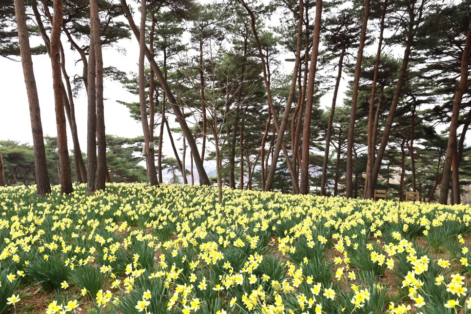 4%EC%9B%945%EC%9D%BC_(57).JPG?type=w966