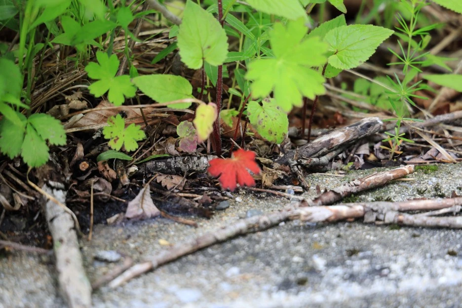 6%EC%9B%9414%EC%9D%BC_(323).JPG?type=w1