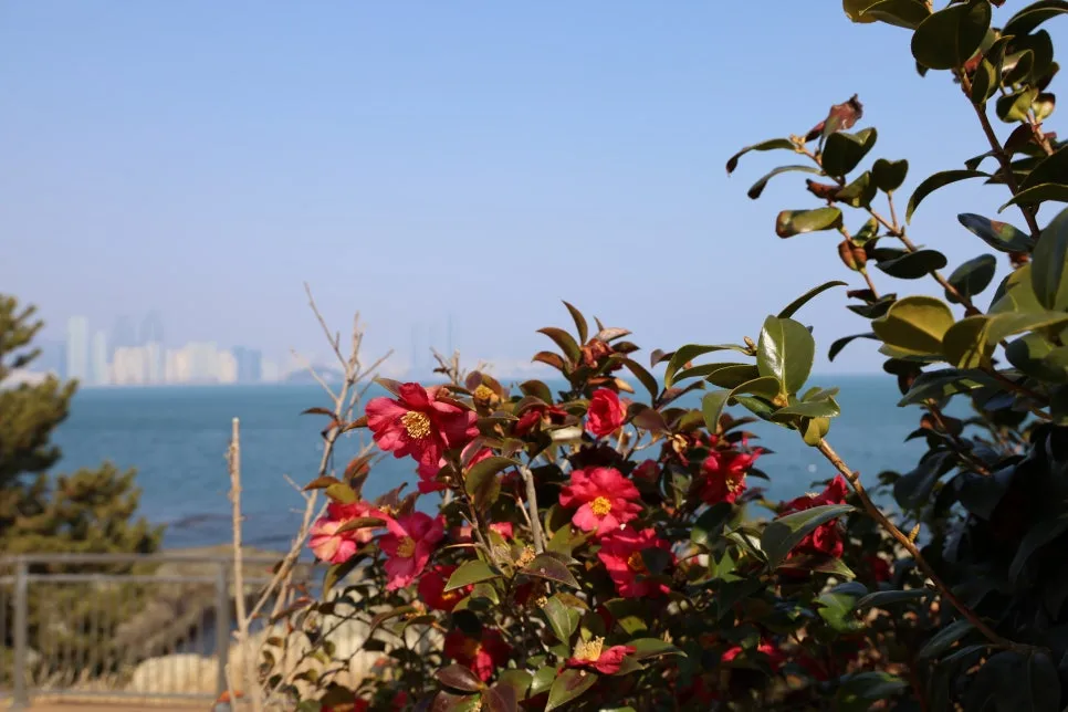 2%EC%9B%9426%EC%9D%BC_(92).JPG?type=w966