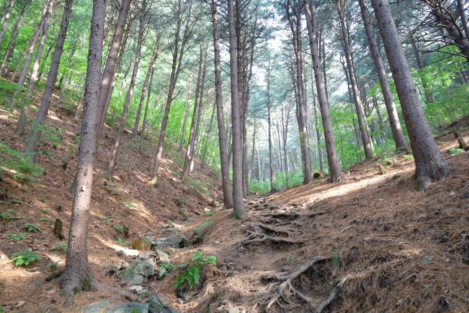 5%EC%9B%9410%EC%9D%BC_(7).JPG?type=w1