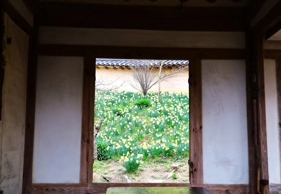 4%EC%9B%945%EC%9D%BC_(16).JPG?type=w966