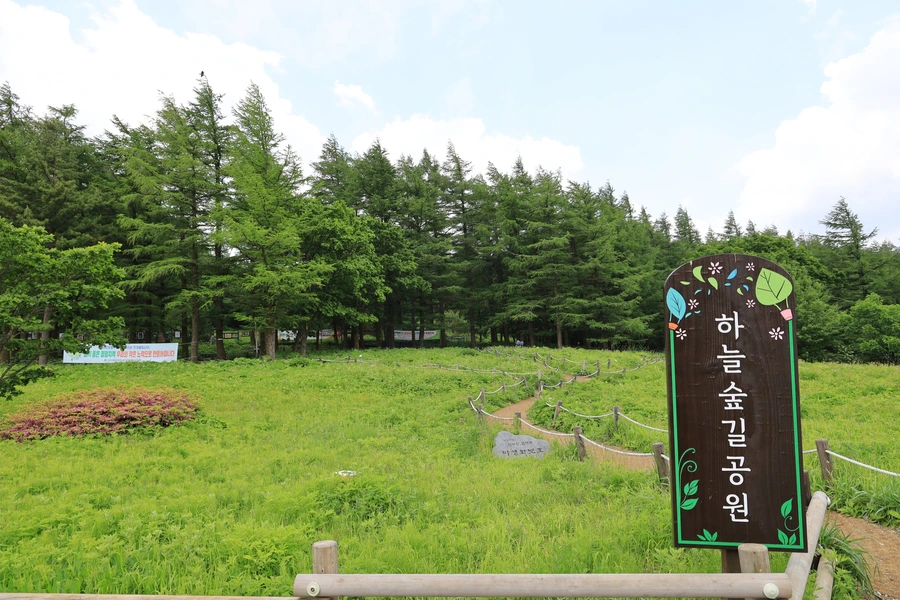 SE-dc664e67-ba36-461c-9b2f-b7bf4f93c731.jpg?type=w1