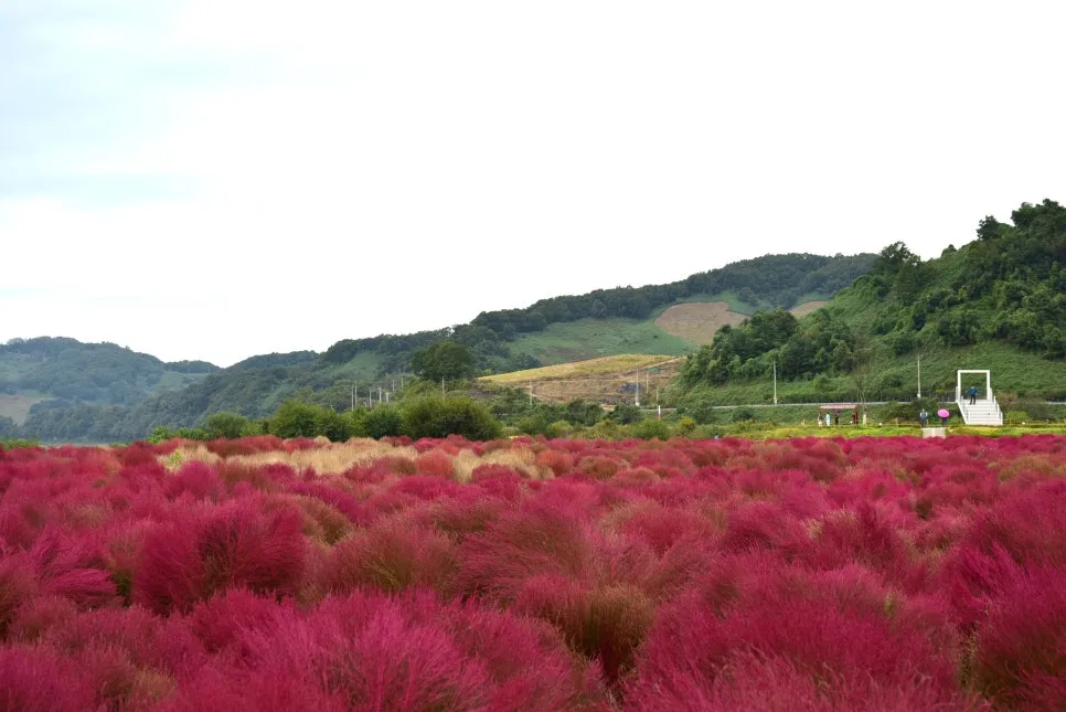 10%EC%9B%9414%EC%9D%BC_(32).JPG?type=w966