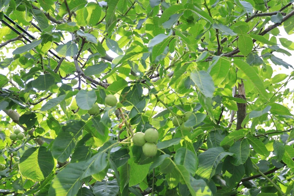 6%EC%9B%9428%EC%9D%BC_(447).JPG?type=w1