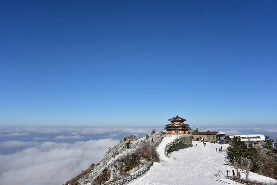 11%EC%9B%9426%EC%9D%BC_(63).JPG?type=w966