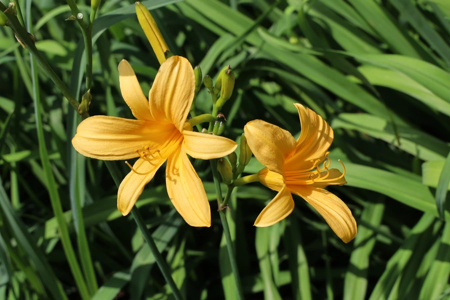 SE-d5477e00-b6a0-4006-a855-18e50699f292.jpg?type=w1