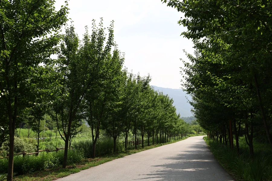 SE-ced2d669-7a68-4007-a75a-79122400993c.jpg?type=w1