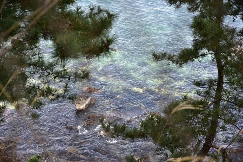 3%EC%9B%9411%EC%9D%BC_(19).JPG?type=w1