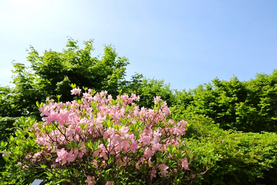 5%EC%9B%9410%EC%9D%BC_(42).JPG?type=w1