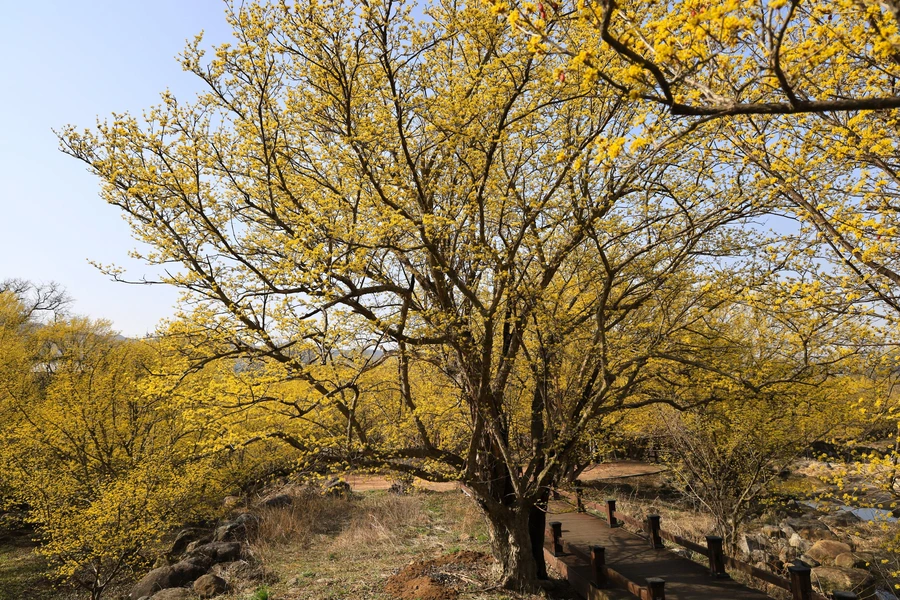 SE-71808564-ce5d-4ac3-905b-c8cfbf5a5863.jpg?type=w1