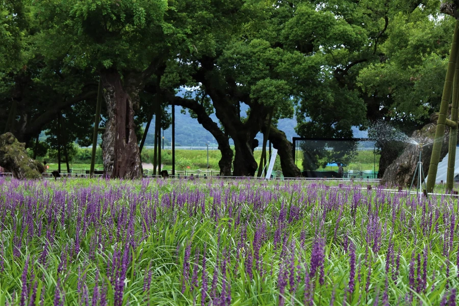 SE-d3b16747-8bab-40de-b7e3-1eeec02e1884.jpg?type=w1