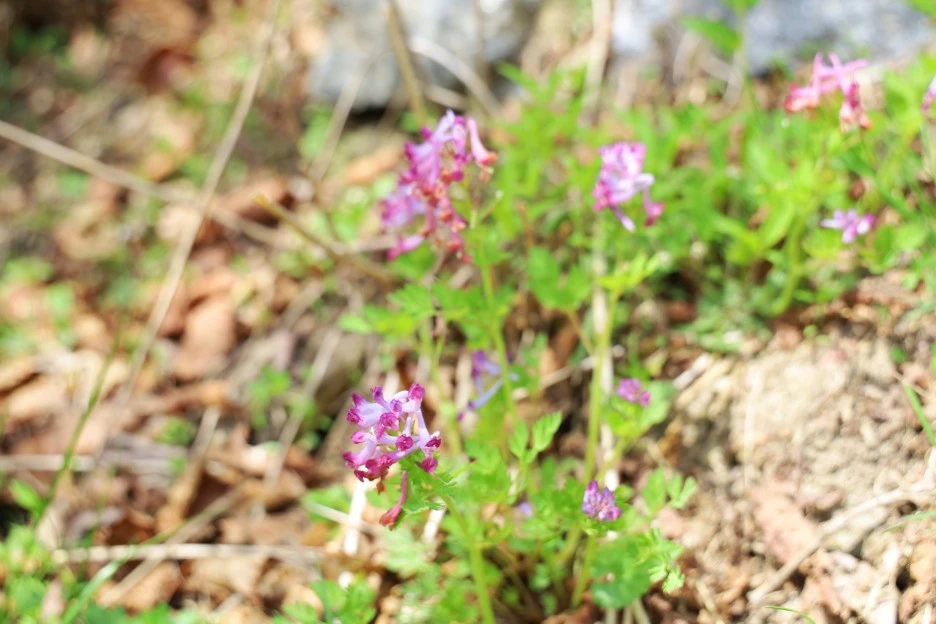 4%EC%9B%9428%EC%9D%BC_(14).JPG?type=w1