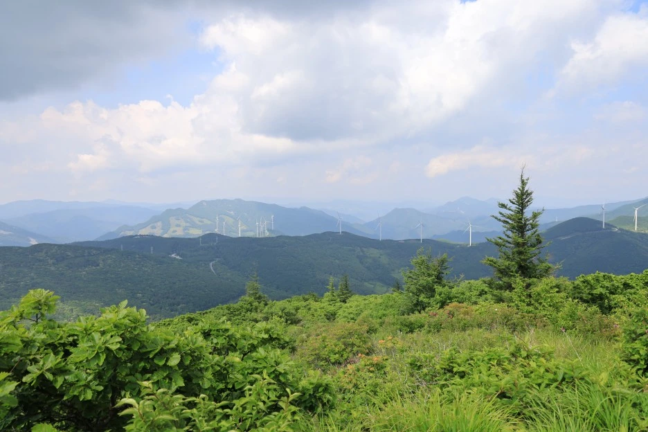 6%EC%9B%9414%EC%9D%BC_(132).JPG?type=w1