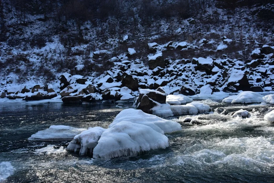 1%EC%9B%9412%EC%9D%BC_(147).JPG?type=w1