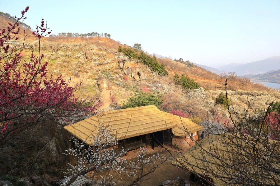 SE-342baa4b-e138-4477-a9c0-9614548142ce.jpg?type=w1