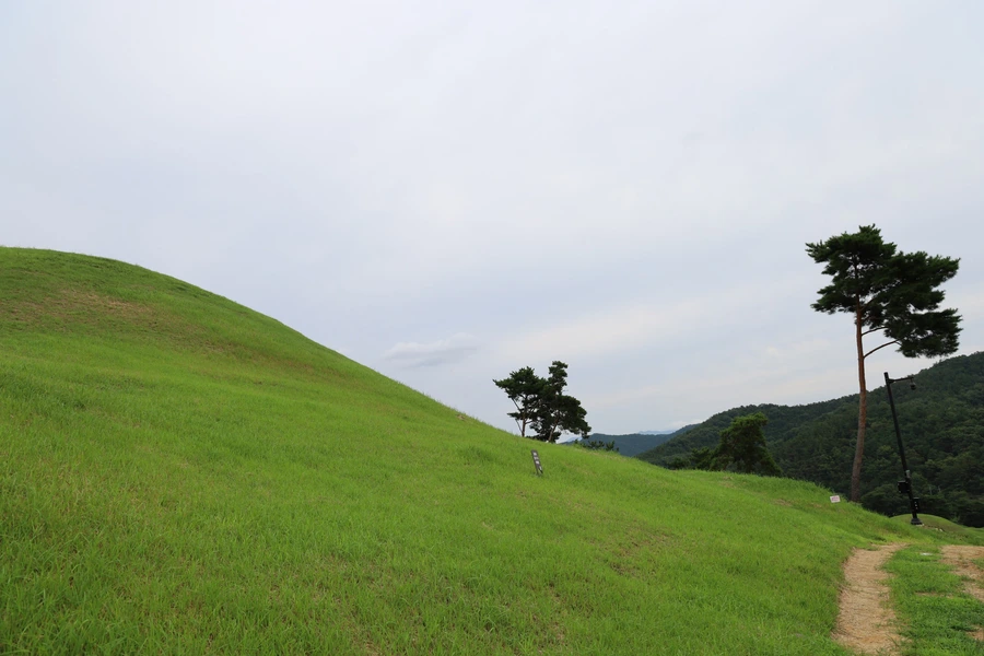 SE-c0a3d480-5f79-4eff-9c62-5beda6c1d94c.jpg?type=w1