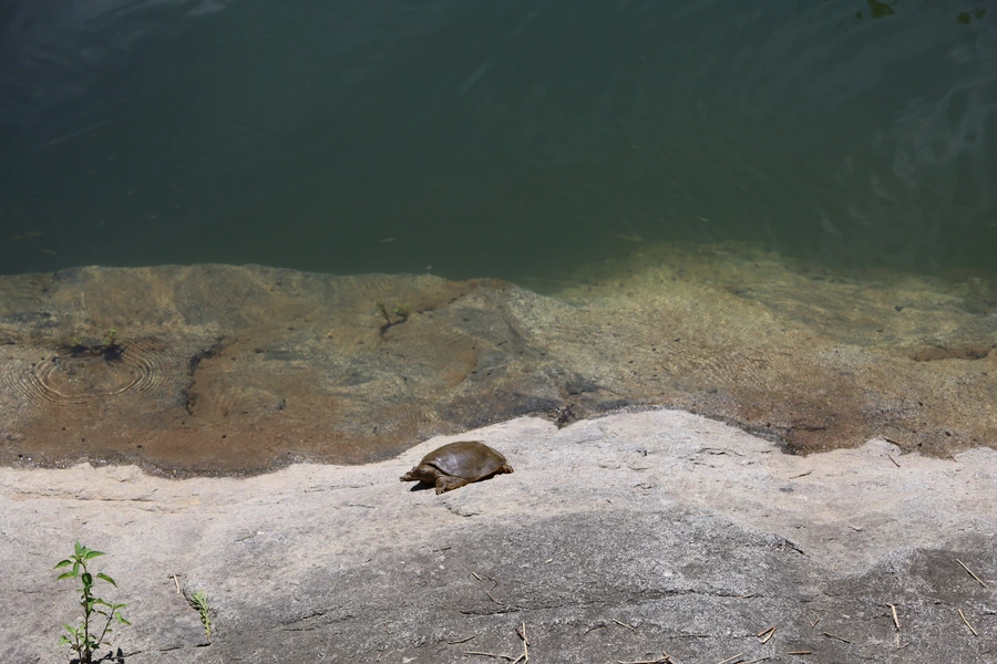 SE-e7343560-c212-4665-adeb-39195048dc42.jpg?type=w1