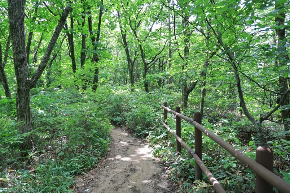 6%EC%9B%9428%EC%9D%BC_(118).JPG?type=w1