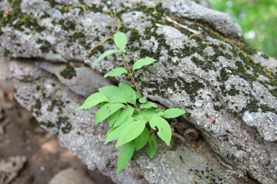 5%EC%9B%9410%EC%9D%BC_(23).JPG?type=w1