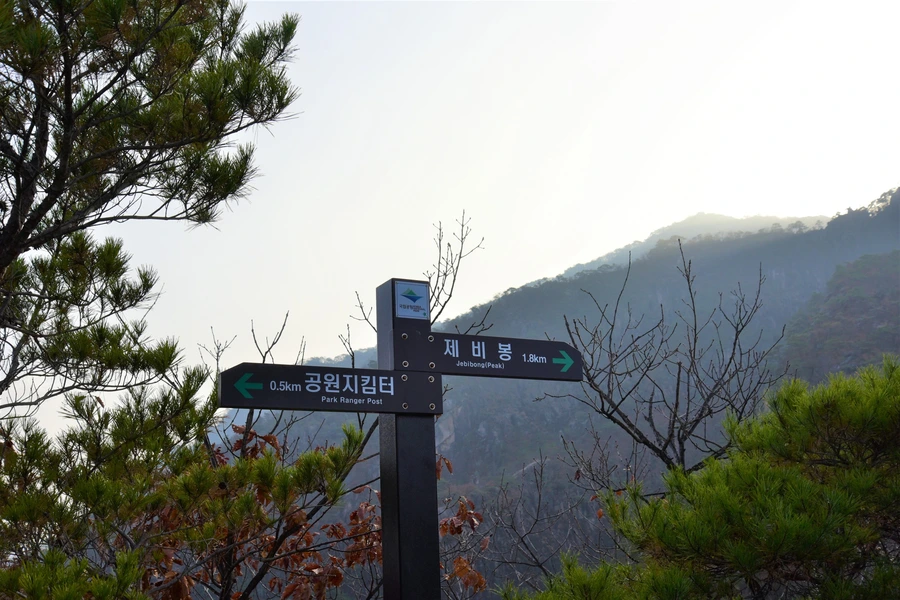 SE-6a842c0d-ef98-4a35-be8a-d536c453c5e5.jpg?type=w1