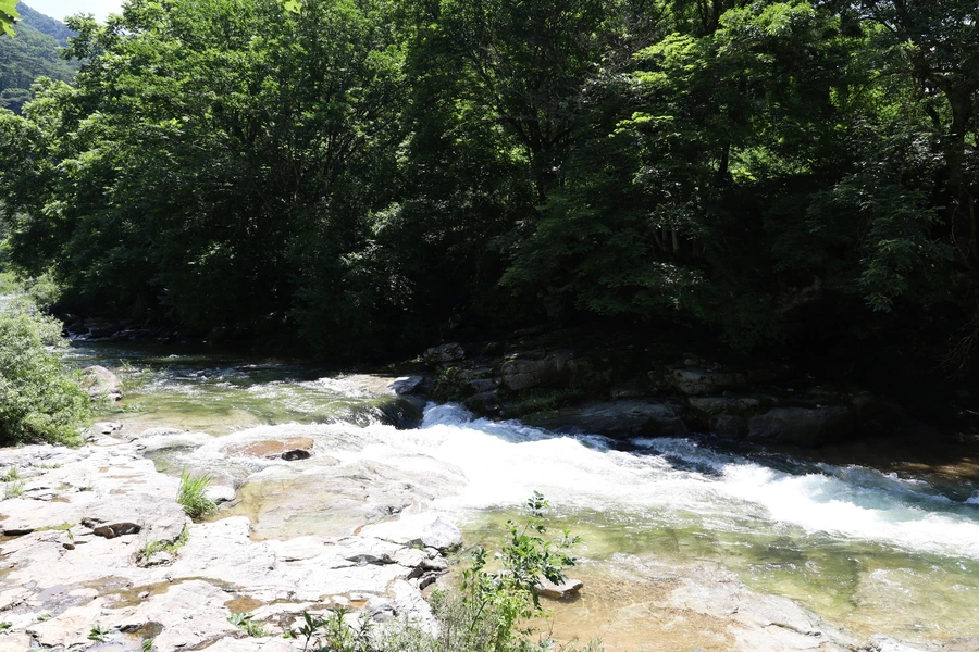 SE-9576ecb6-c191-4e9b-90ed-25a2fc290487.jpg?type=w1