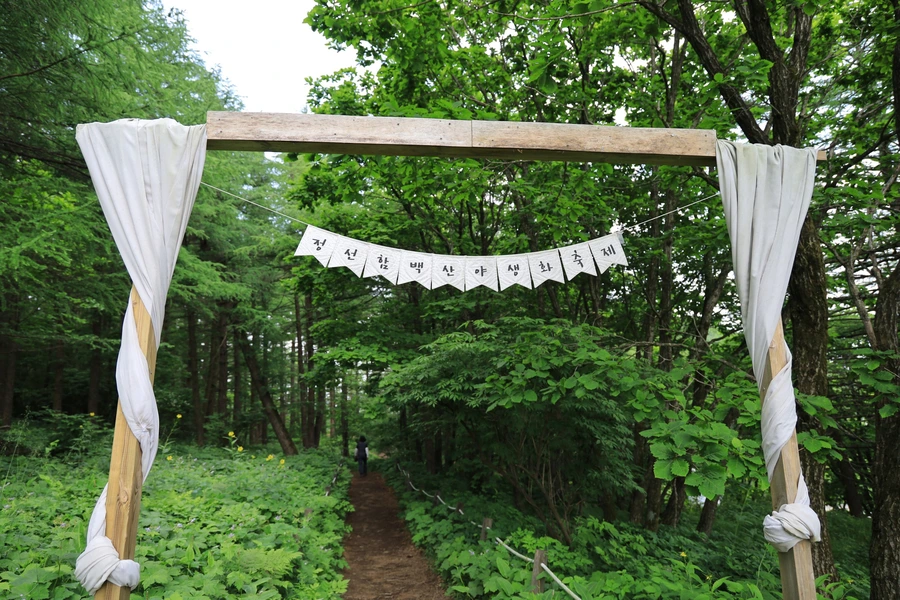 SE-d48b8b48-5c1d-408c-bfa6-df7e00c82a81.jpg?type=w1