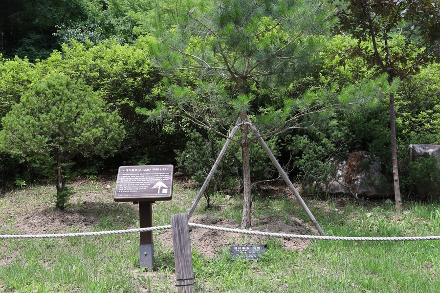 SE-3d361d0c-8d38-4d21-bce1-cb7c36ce1466.jpg?type=w1