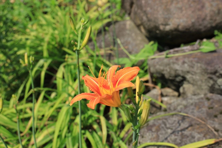 6%EC%9B%9428%EC%9D%BC_(444).JPG?type=w1