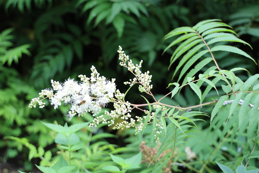 SE-fda17ff4-2b56-4ee3-b5d9-9a50caaf53af.jpg?type=w1