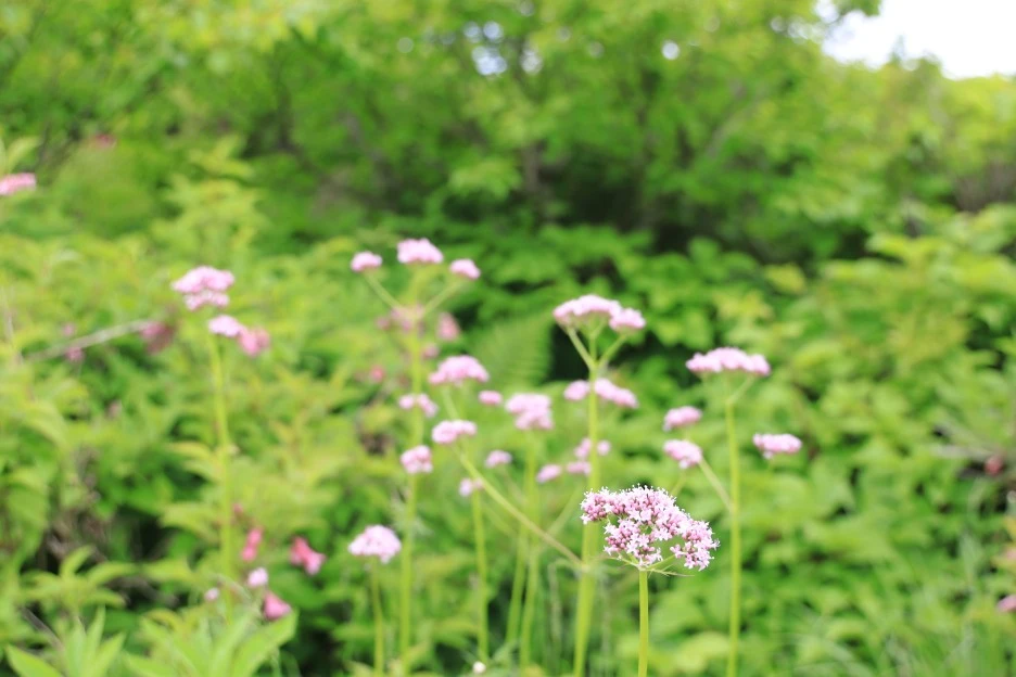 6%EC%9B%9414%EC%9D%BC_(184).JPG?type=w1