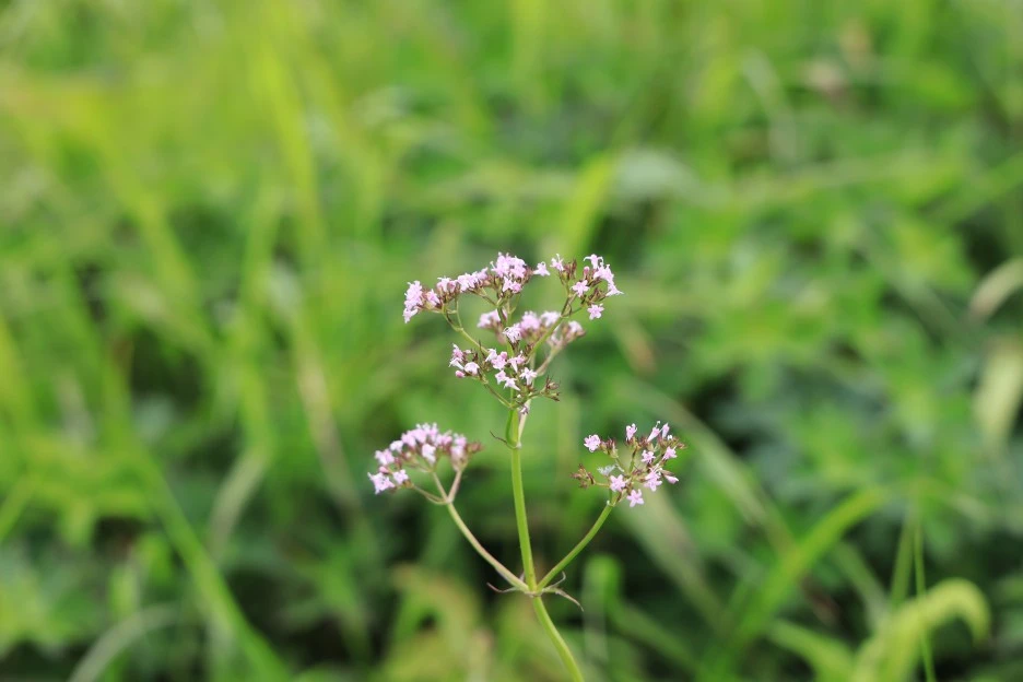 6%EC%9B%9428%EC%9D%BC_(161).JPG?type=w1