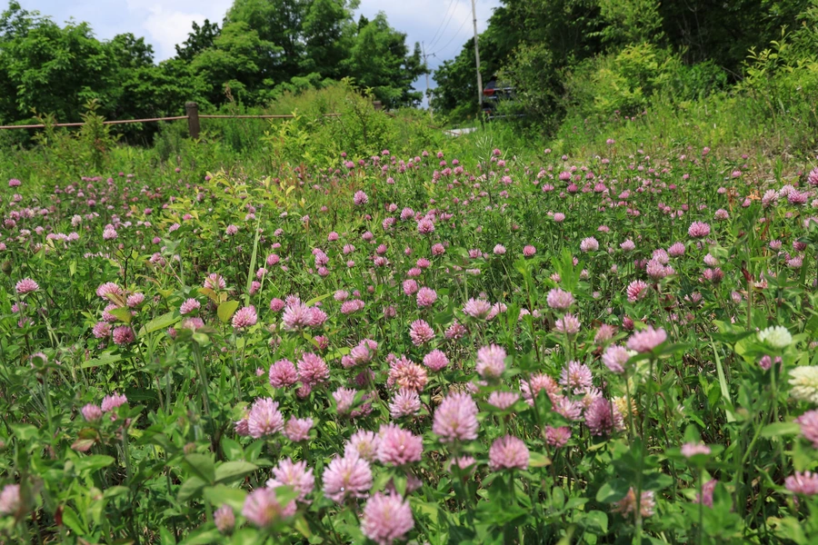 SE-963c7d45-4fc7-4024-834d-9d1a0cc1ca60.jpg?type=w1