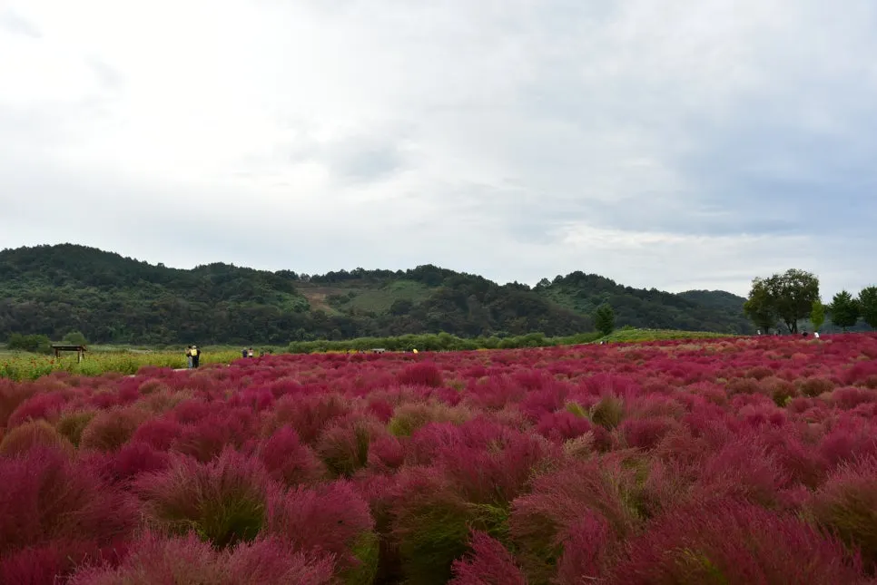 10%EC%9B%9414%EC%9D%BC_(7).JPG?type=w966