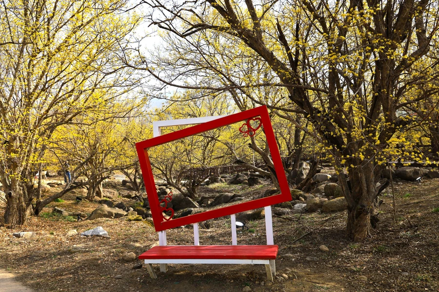 SE-6af798cd-3f01-4fa5-accb-2a8d56824089.jpg?type=w1