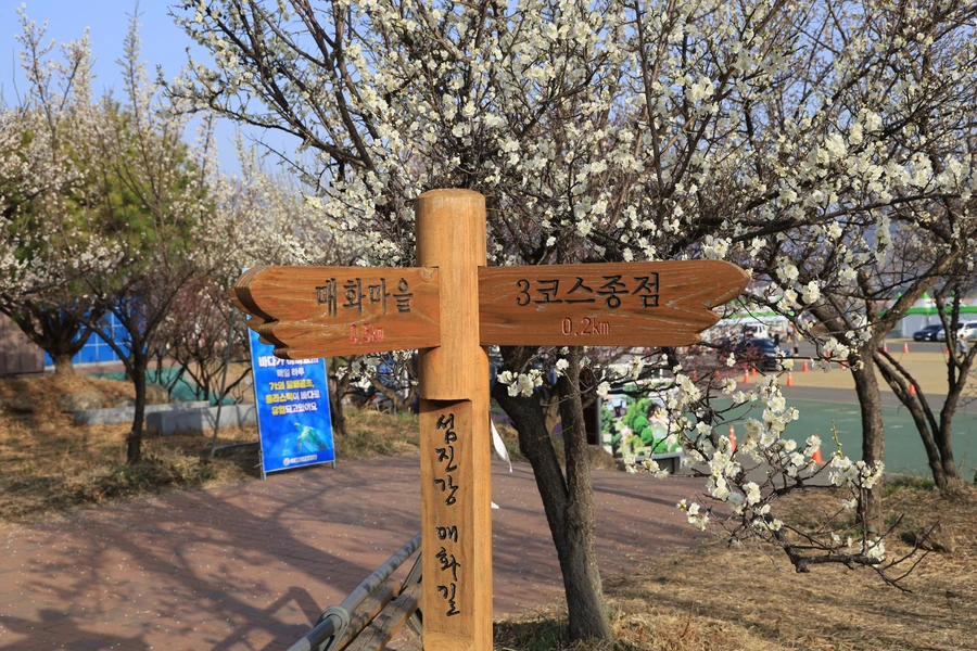 SE-f23b677b-315d-4795-b431-0749a6050020.jpg?type=w1