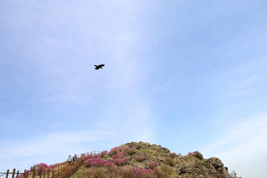 4%EC%9B%9428%EC%9D%BC_(98).JPG?type=w1