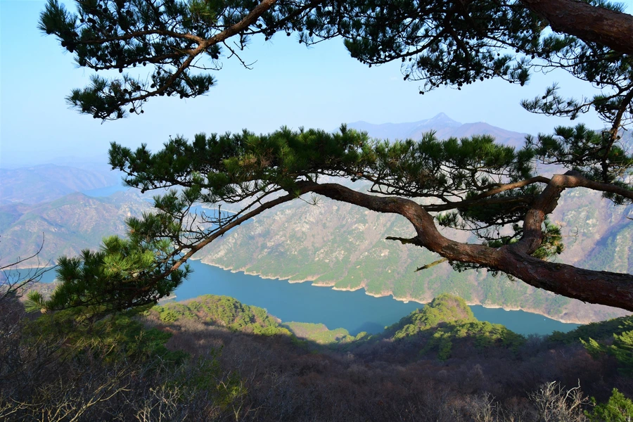 SE-7156afb8-1da5-41da-91ff-6996785697d4.jpg?type=w1