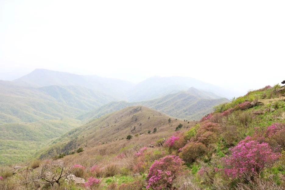 4%EC%9B%9428%EC%9D%BC_(124).JPG?type=w1