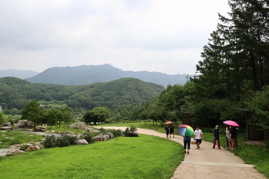 SE-dcaddfdf-a021-4979-b270-7794063c1e2f.jpg?type=w1