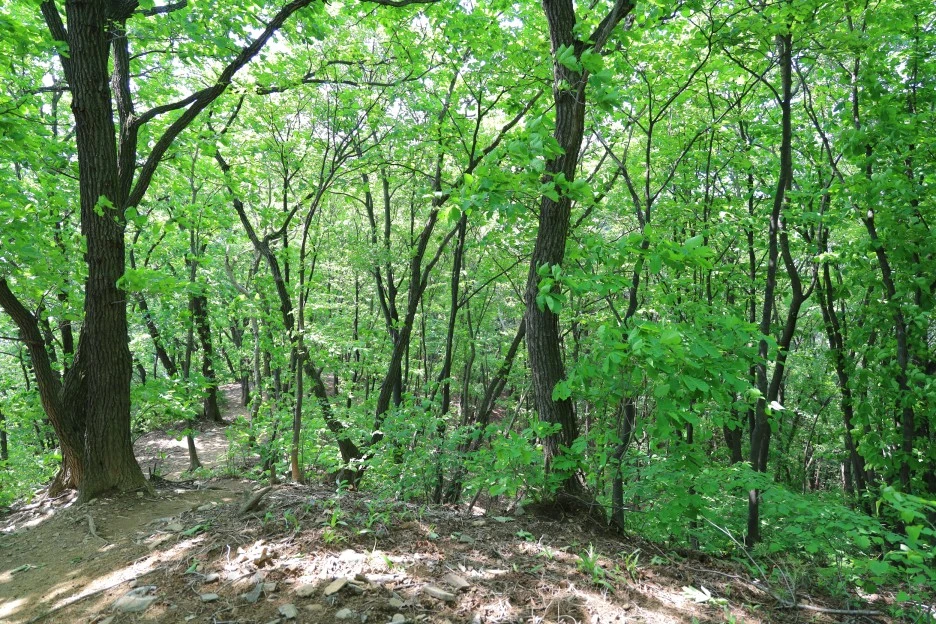 5%EC%9B%9410%EC%9D%BC_(169).JPG?type=w1